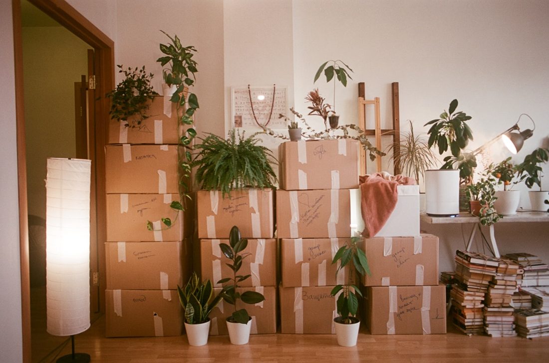 Move in and move out